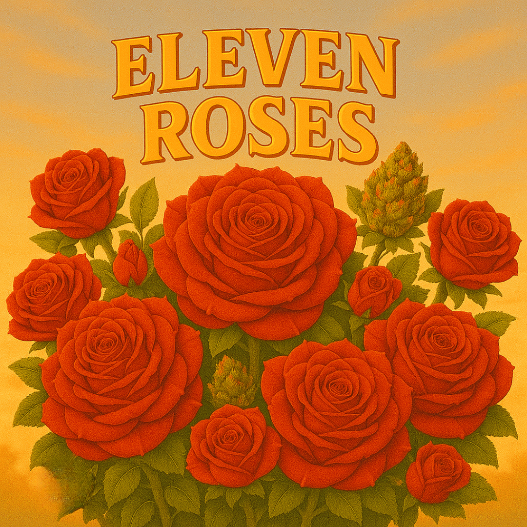 Eleven Roses