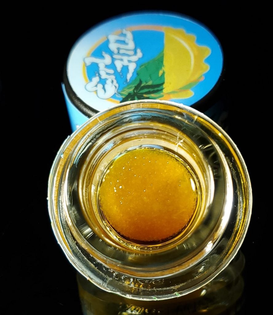 Gazzurple x GMO
