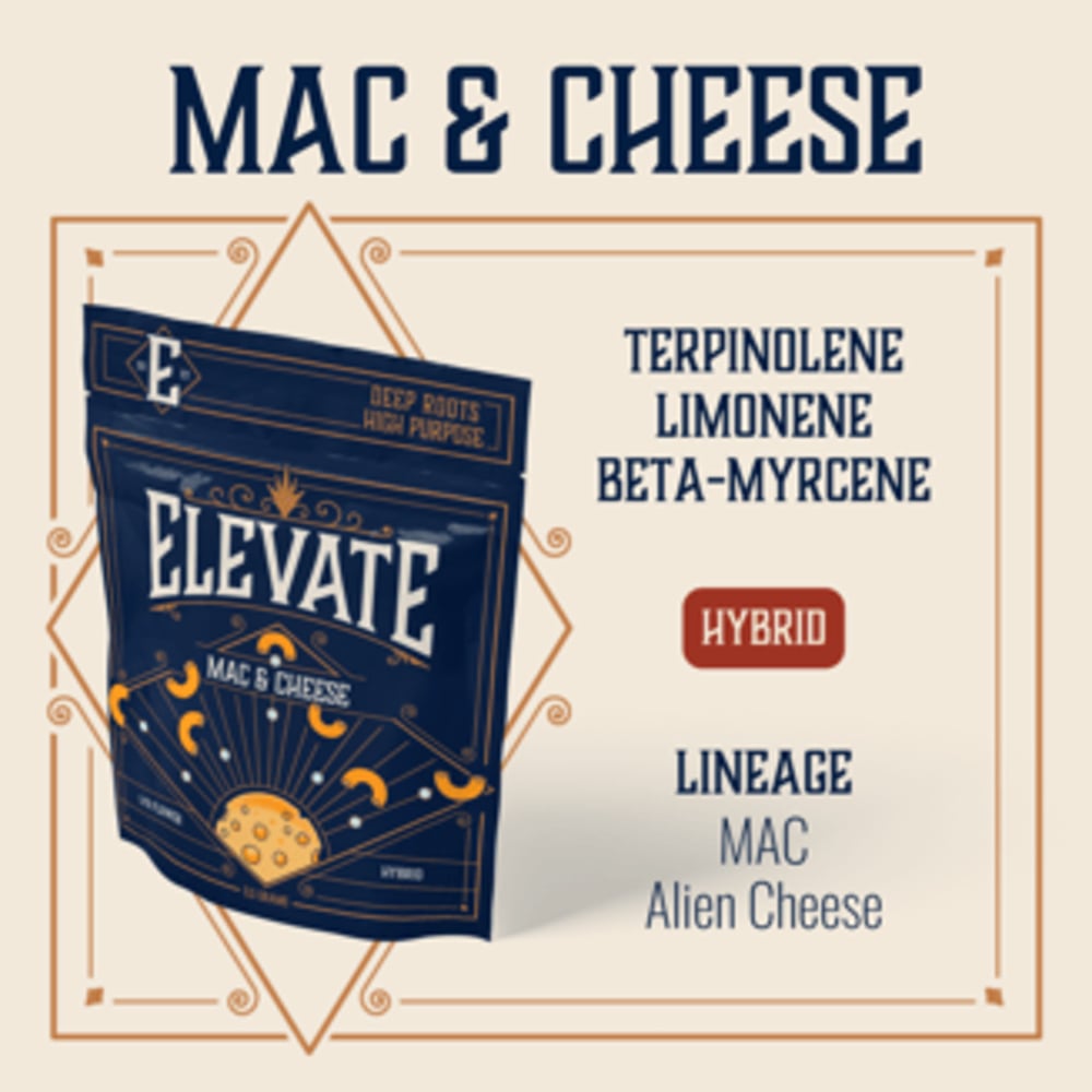 Mac & Cheese
