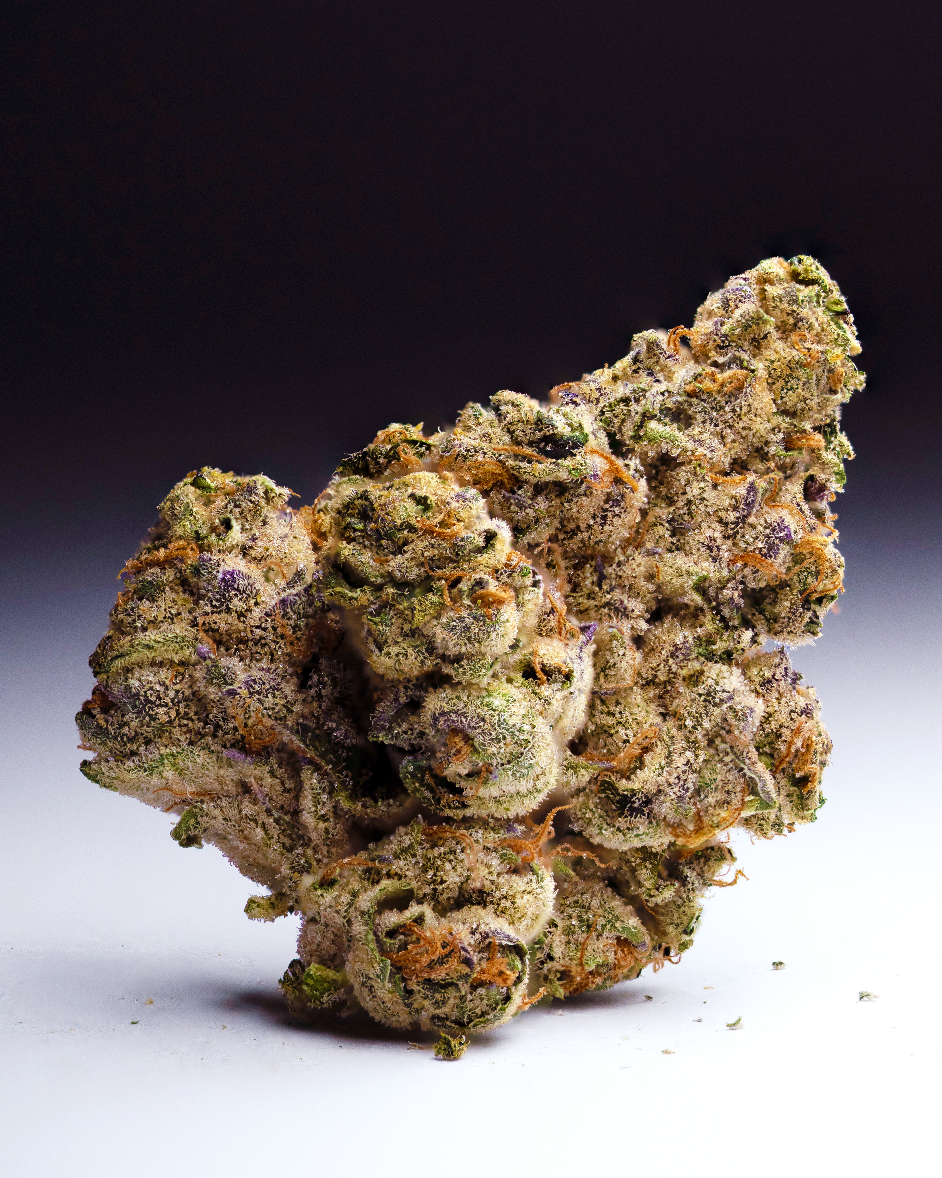 Bananaconda #4
