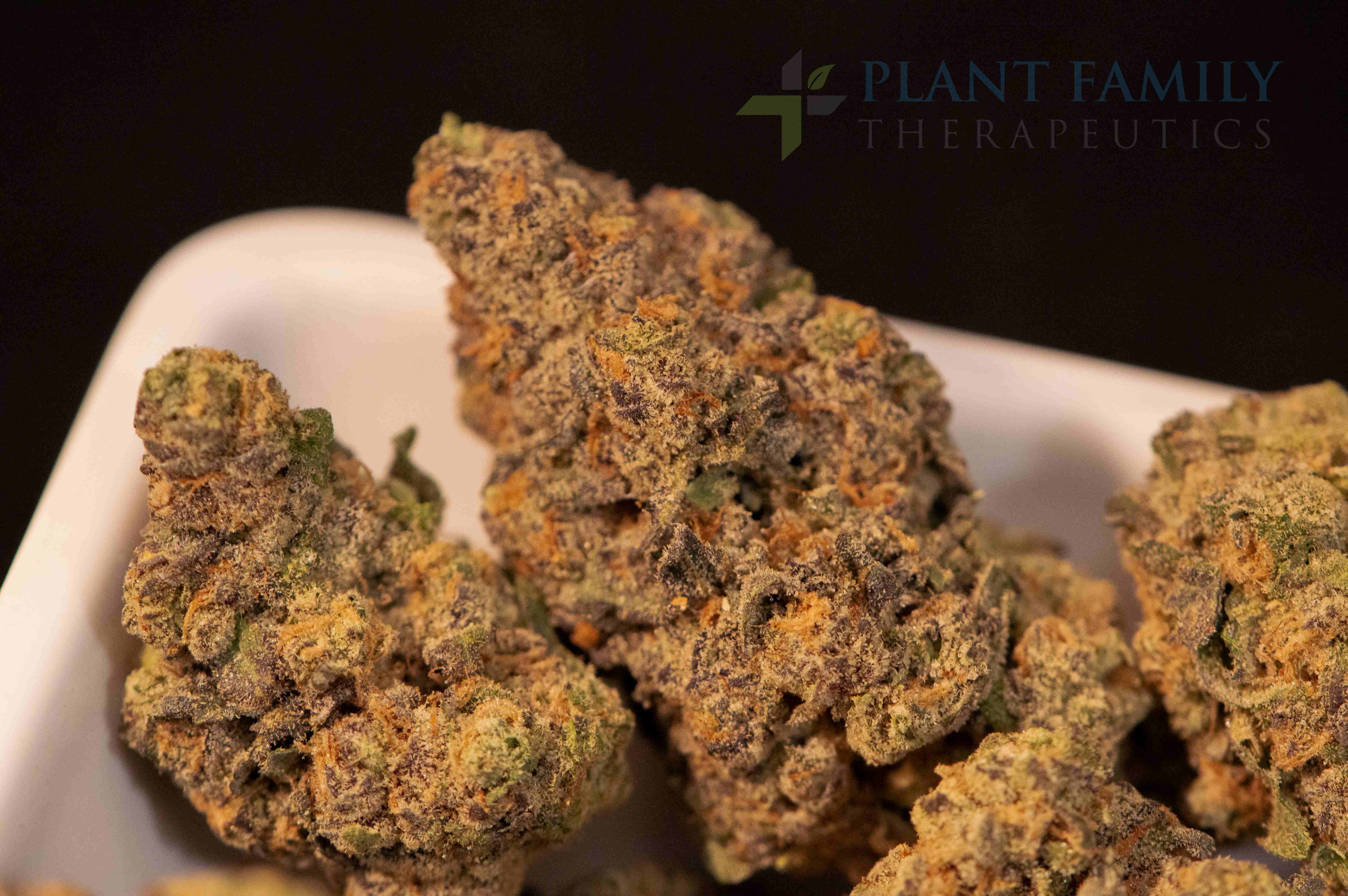 Gush Mintz #8 | Good Day Farm