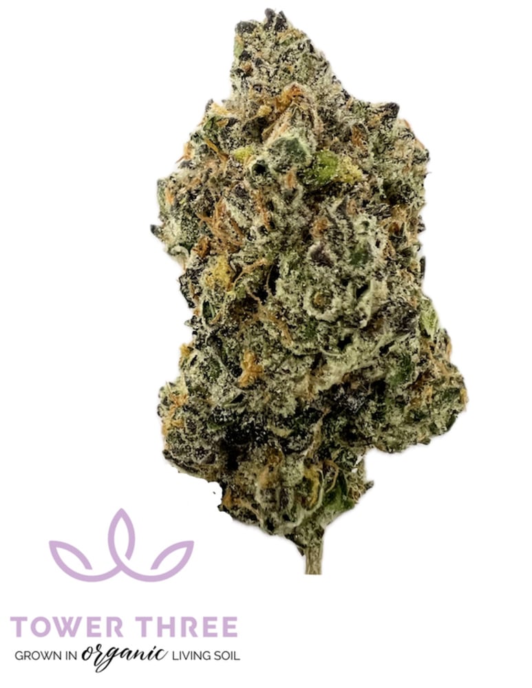 Tower Three - Butterwolf Flower