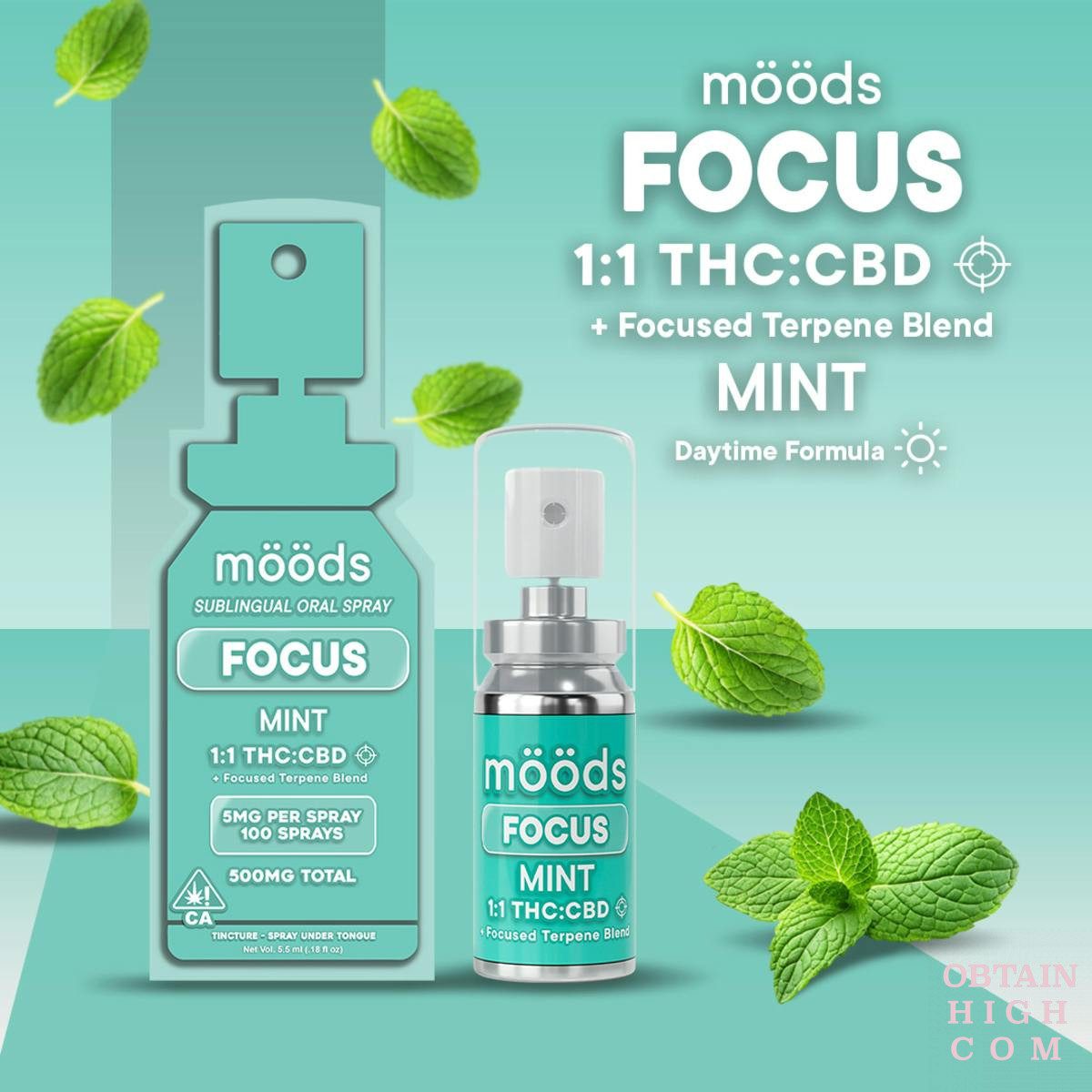 Mint Focus 1:1 CBD (500mg)