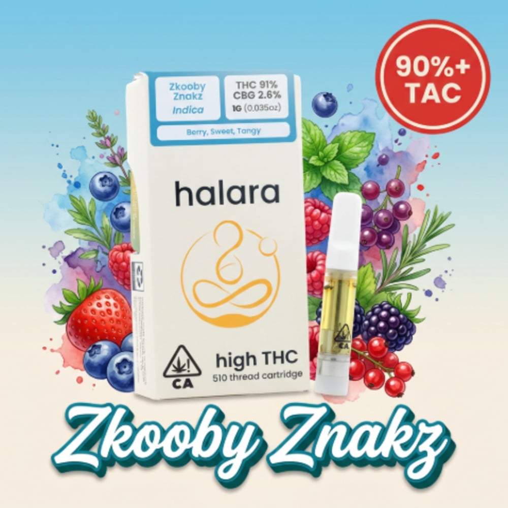 Zkooby Znakz