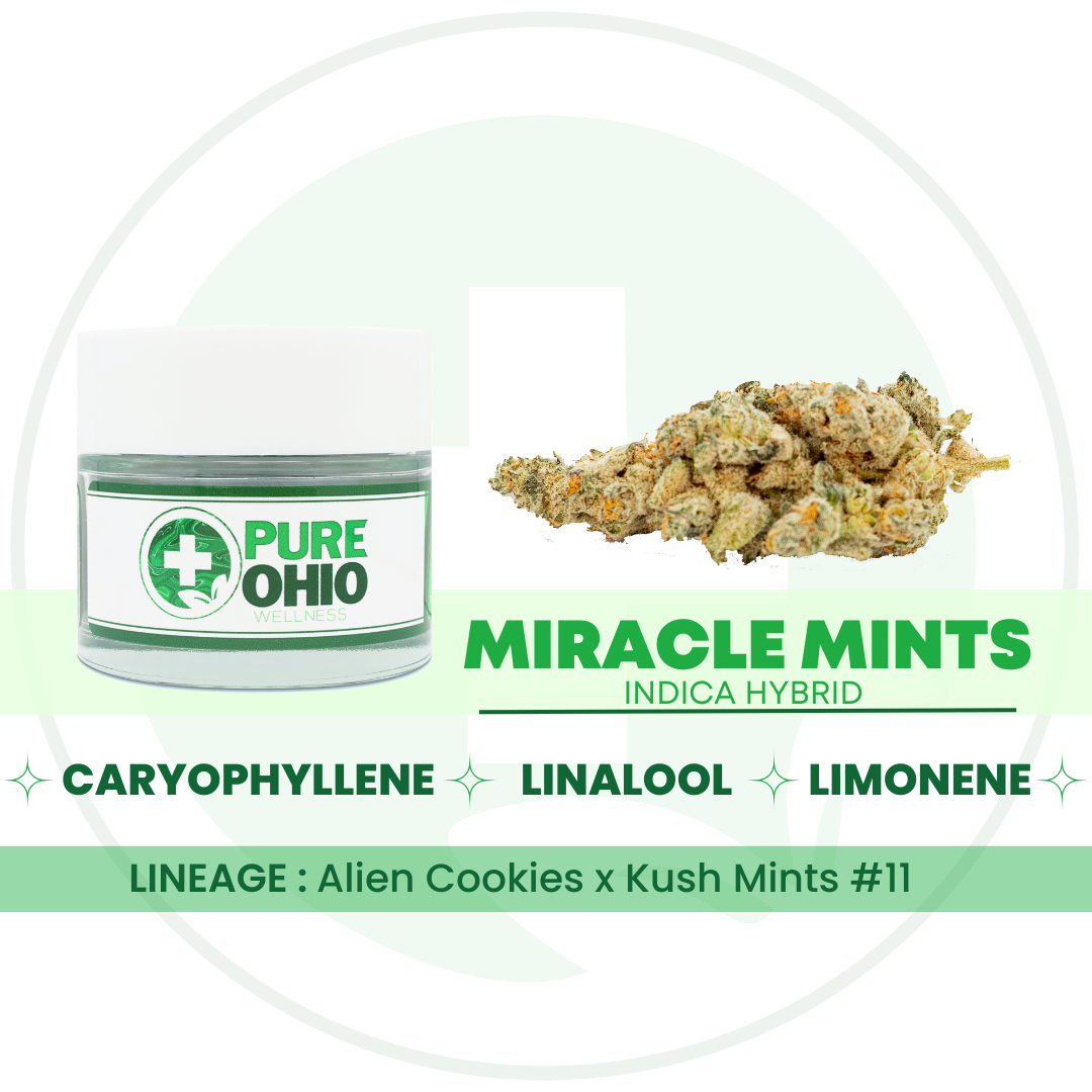 Shop Miracle Mints [2.83g] | Pure Ohio Wellness - London