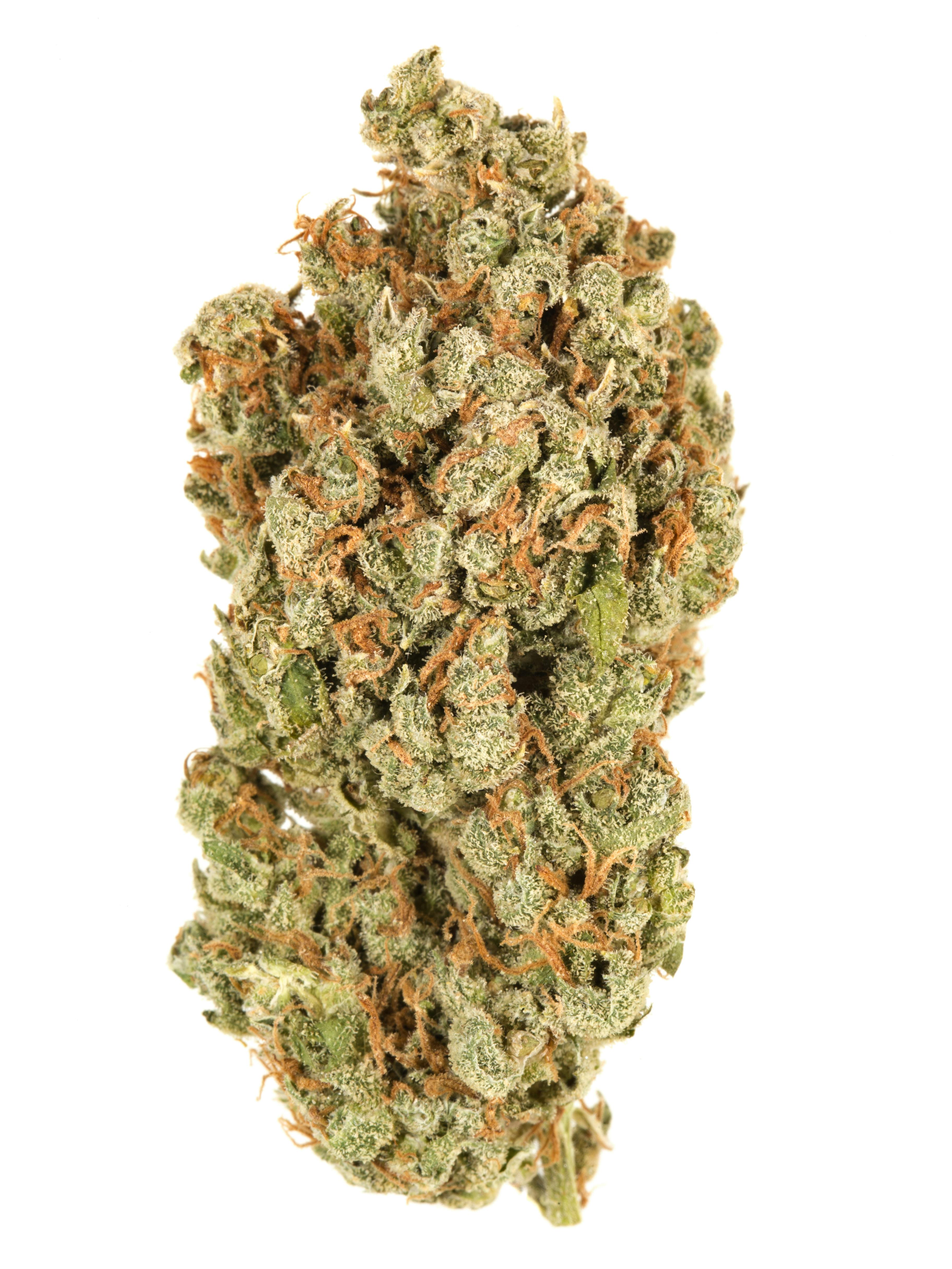 Durban Poison Durban Poison