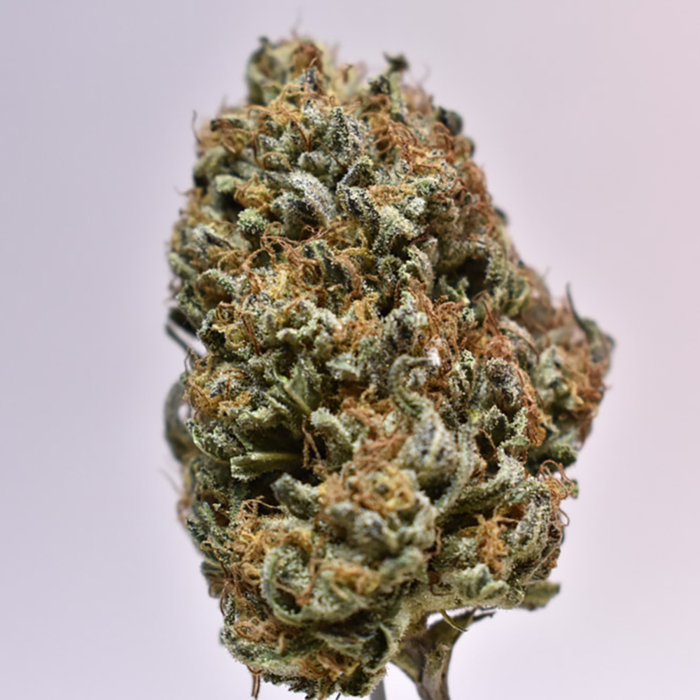 Orange Haze