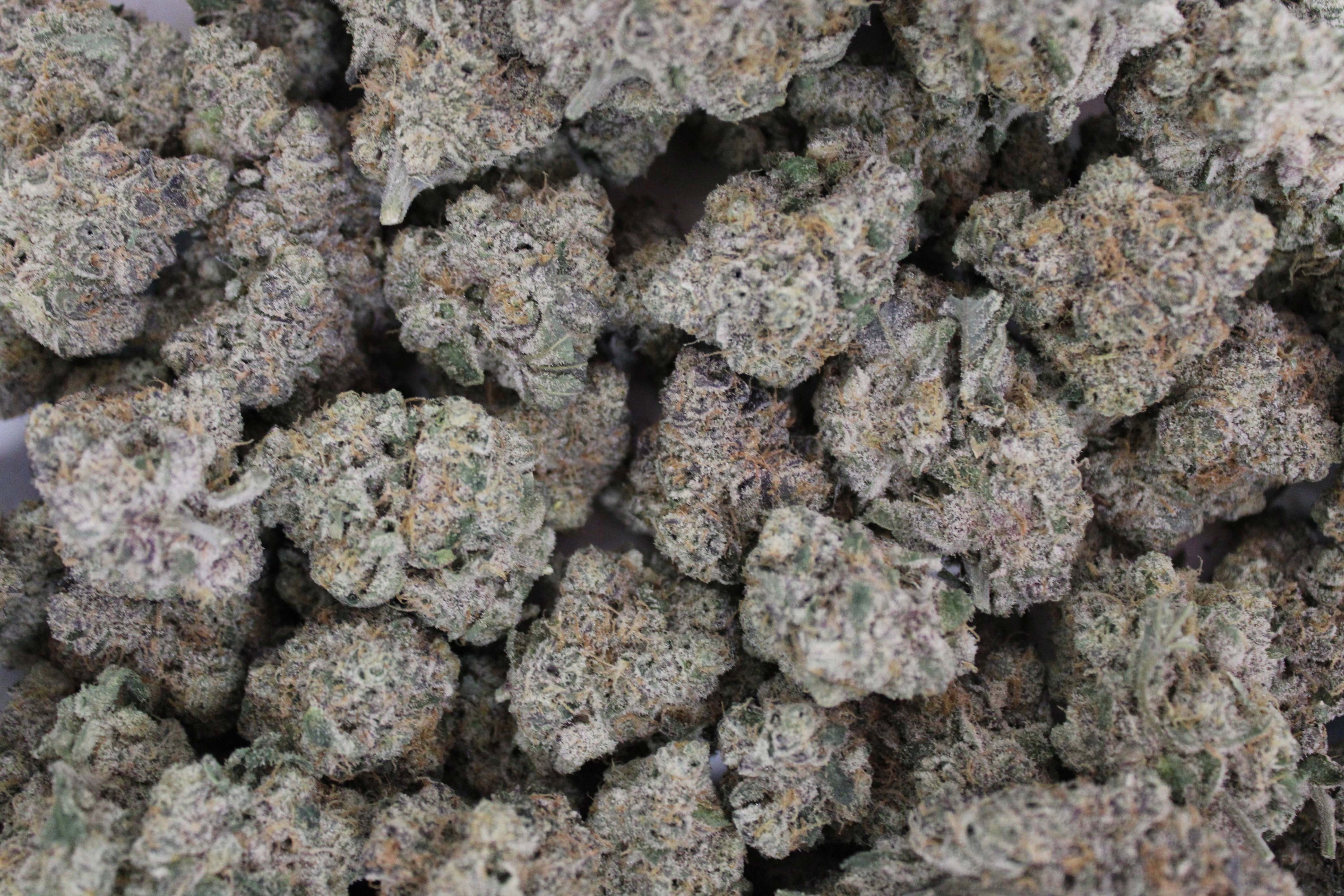 Dakota Green - Cherrylicious - Bulk Flower - Indica