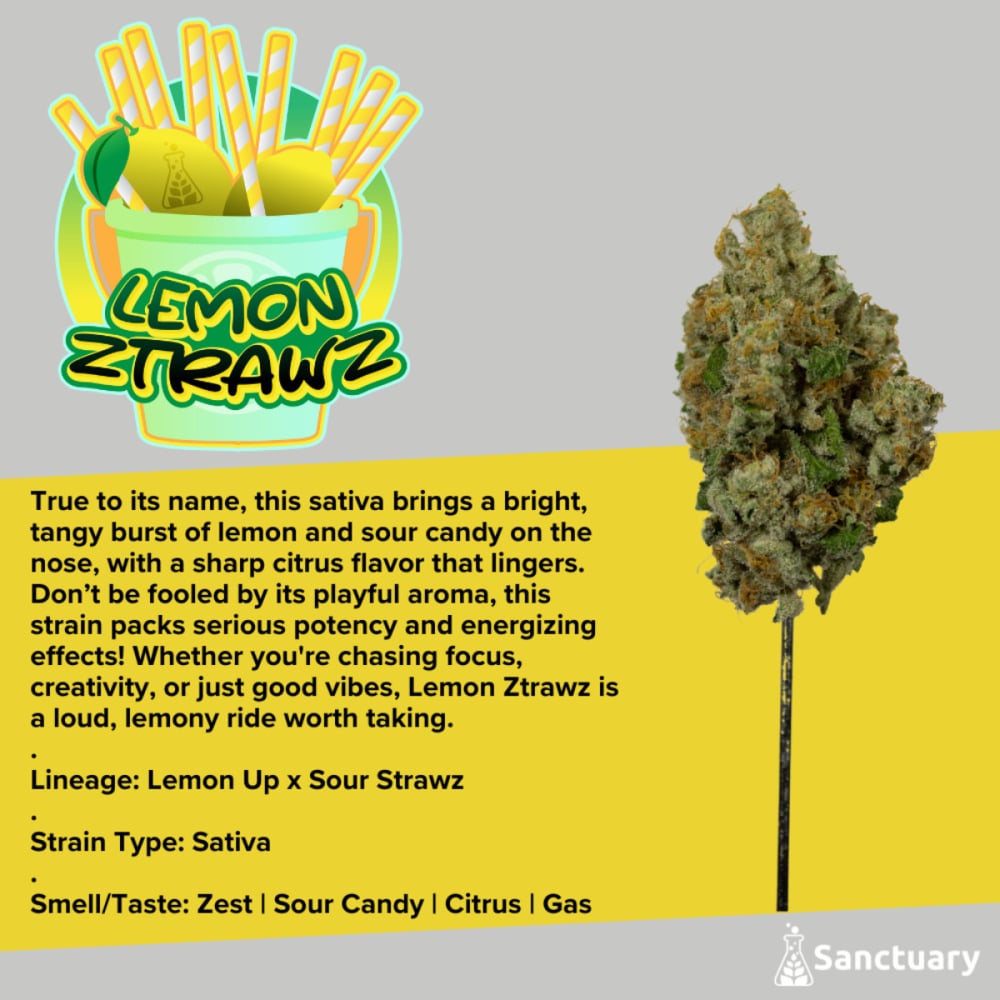 Sanctuary - Lemon Ztrawz Flower