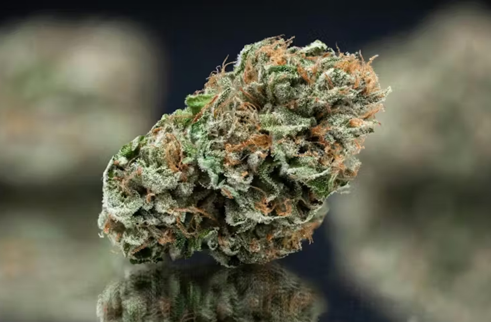 Mega Diesel