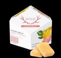 Pear 1:1 CBG + Hybrid Enhanced Gummies | 100mg