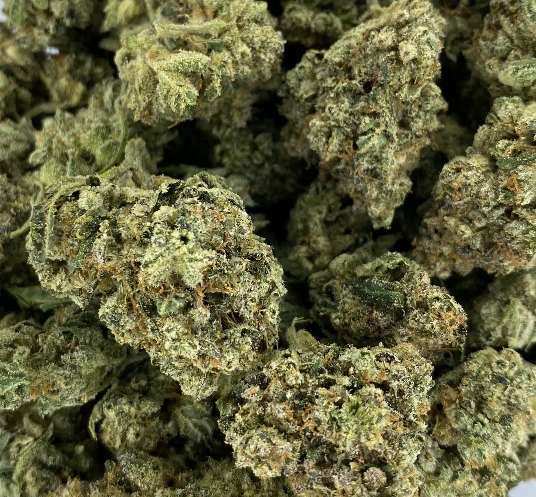 Jack Herer