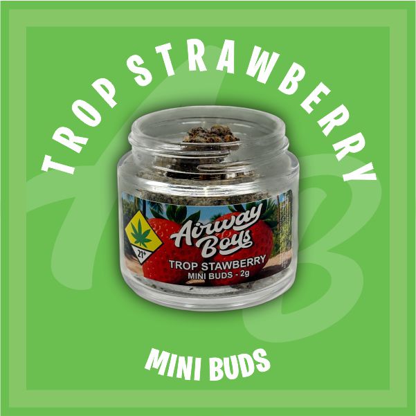 Trop Strawberry Trop Strawberry