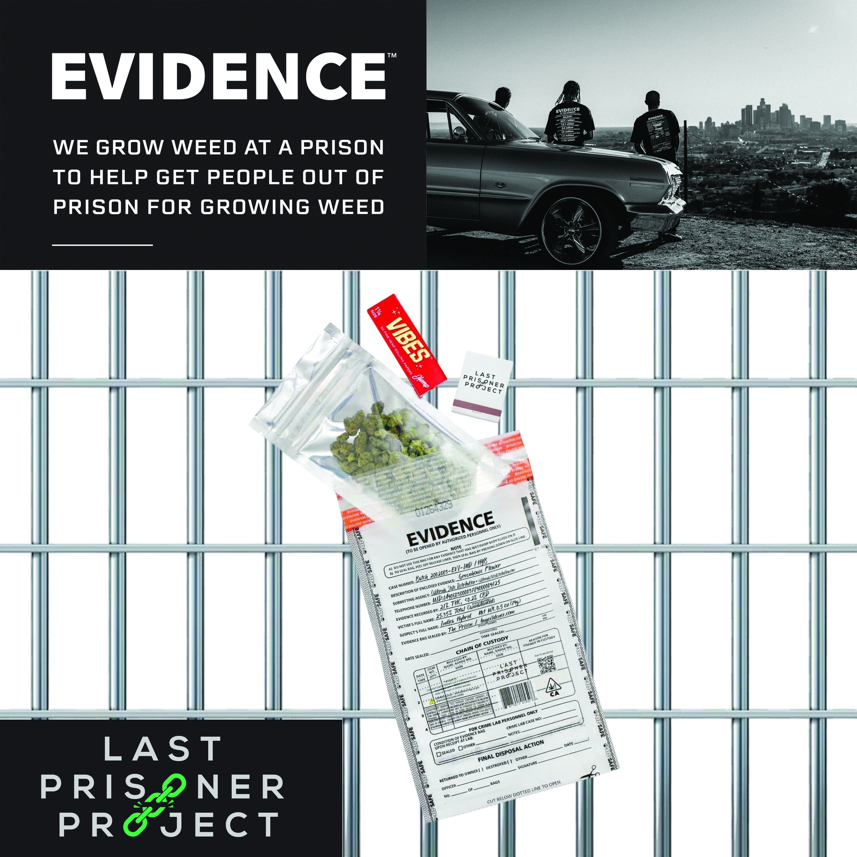 EVIDENCE Mango Sherbet