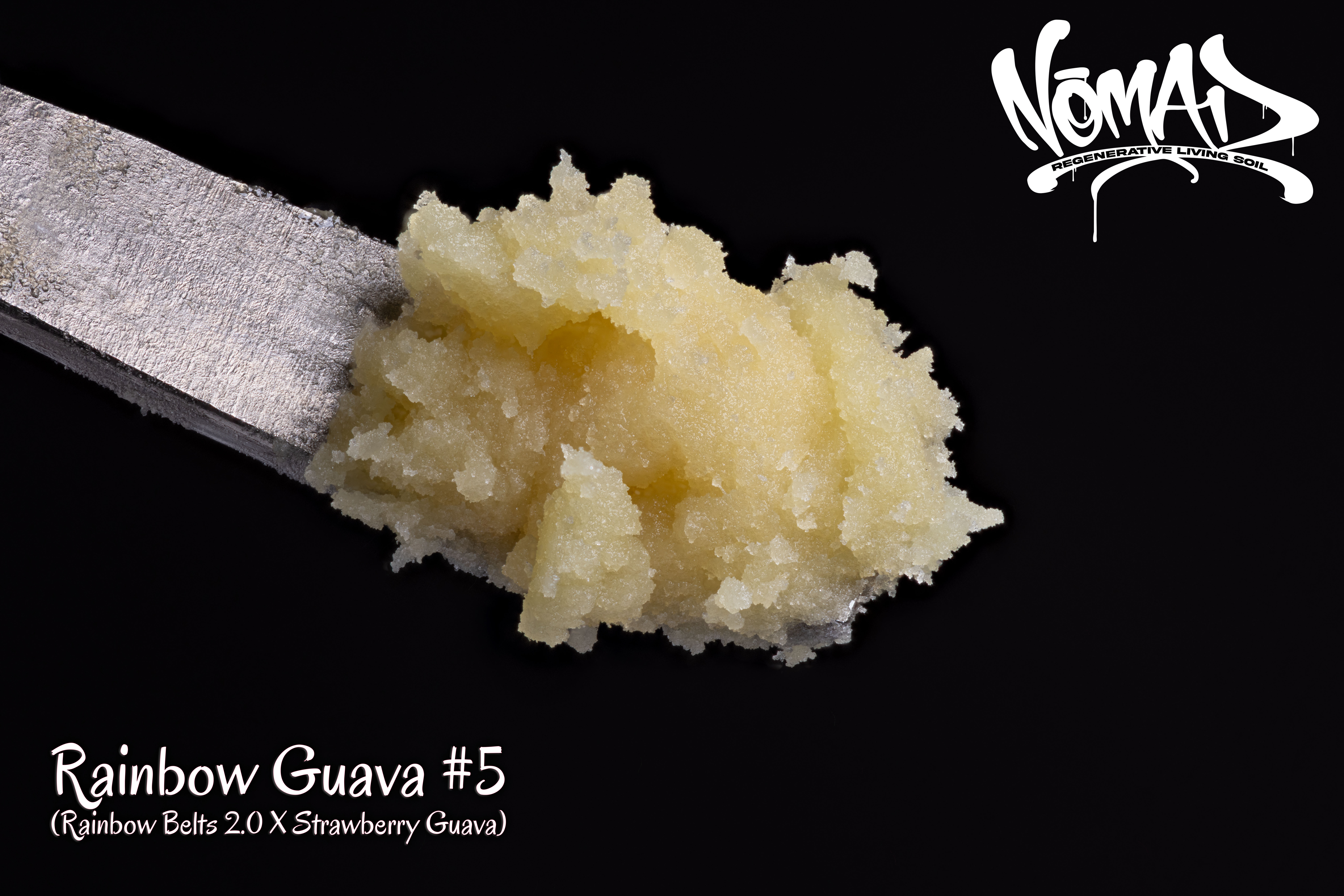 Rainbow Guava #5