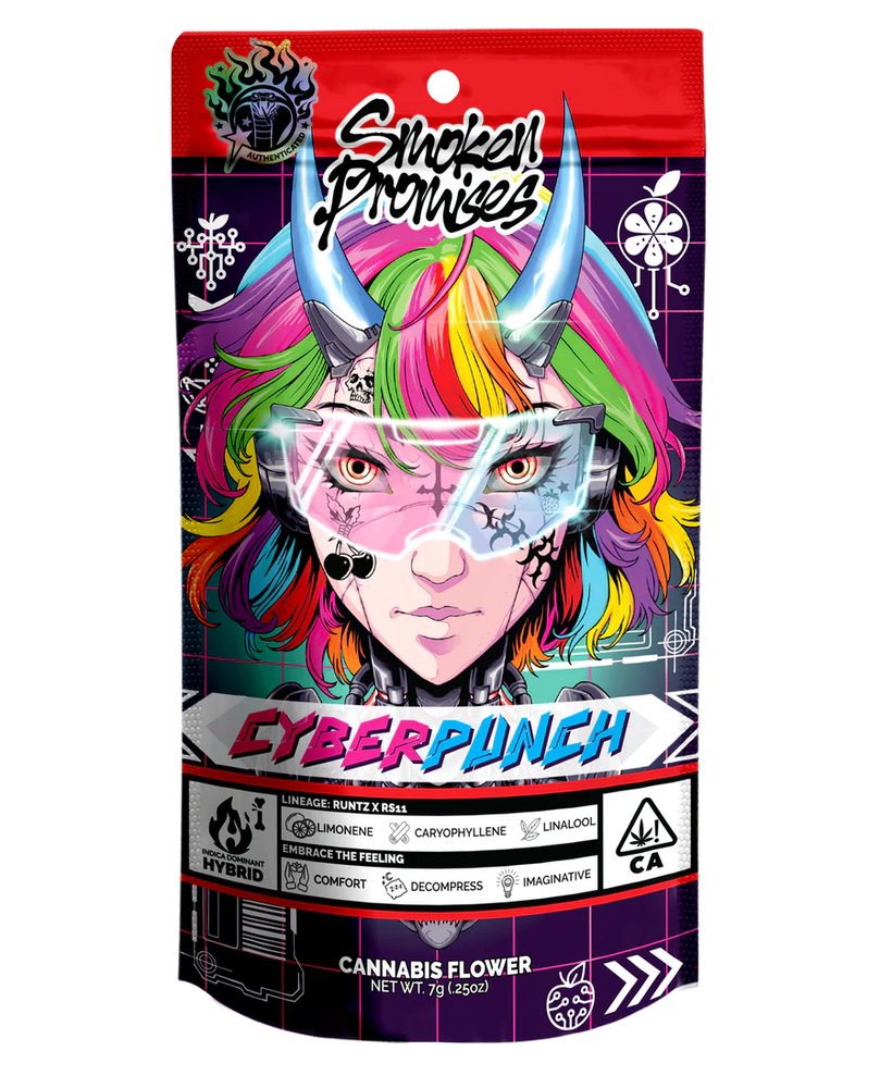 Cyberpunch