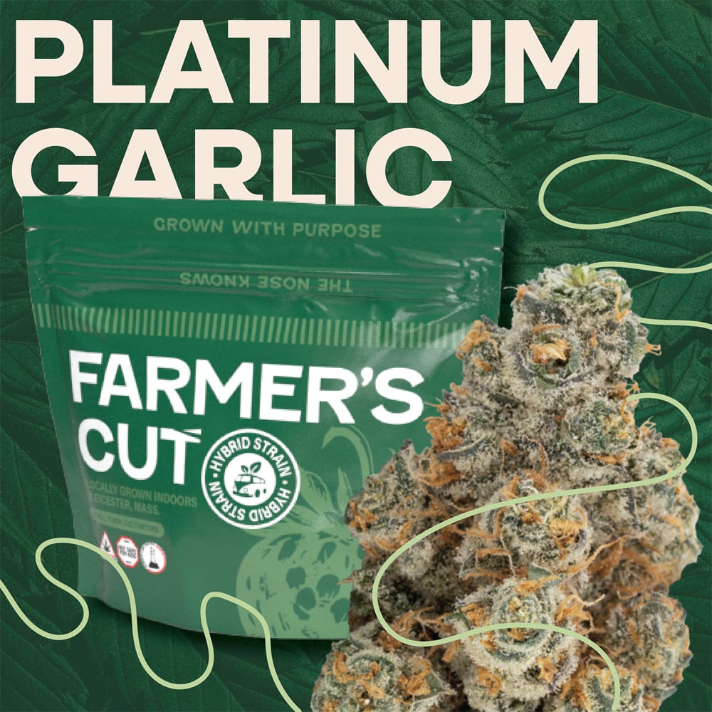 Farmer's Cut - Platinum Garlic Flower