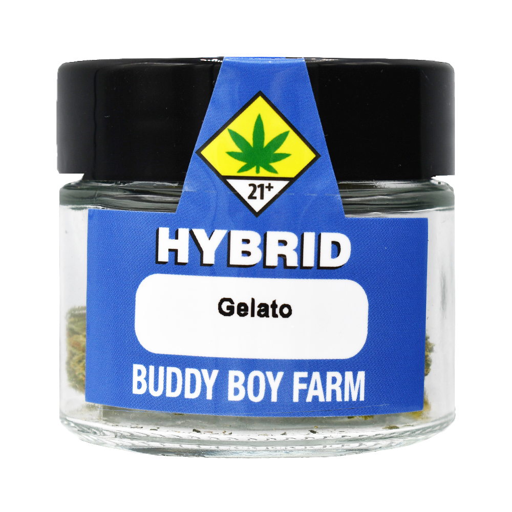 GMO (8G)