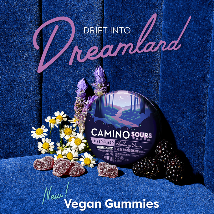 1:1:1 'Deep Sleep' Blackberry Dream [10pk] (100mg CBD/100mg THC/100mg CBN)