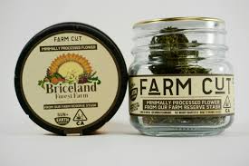 Equinox 1:1 CBD by Emerald Spirit Botanicals [7.5g]
