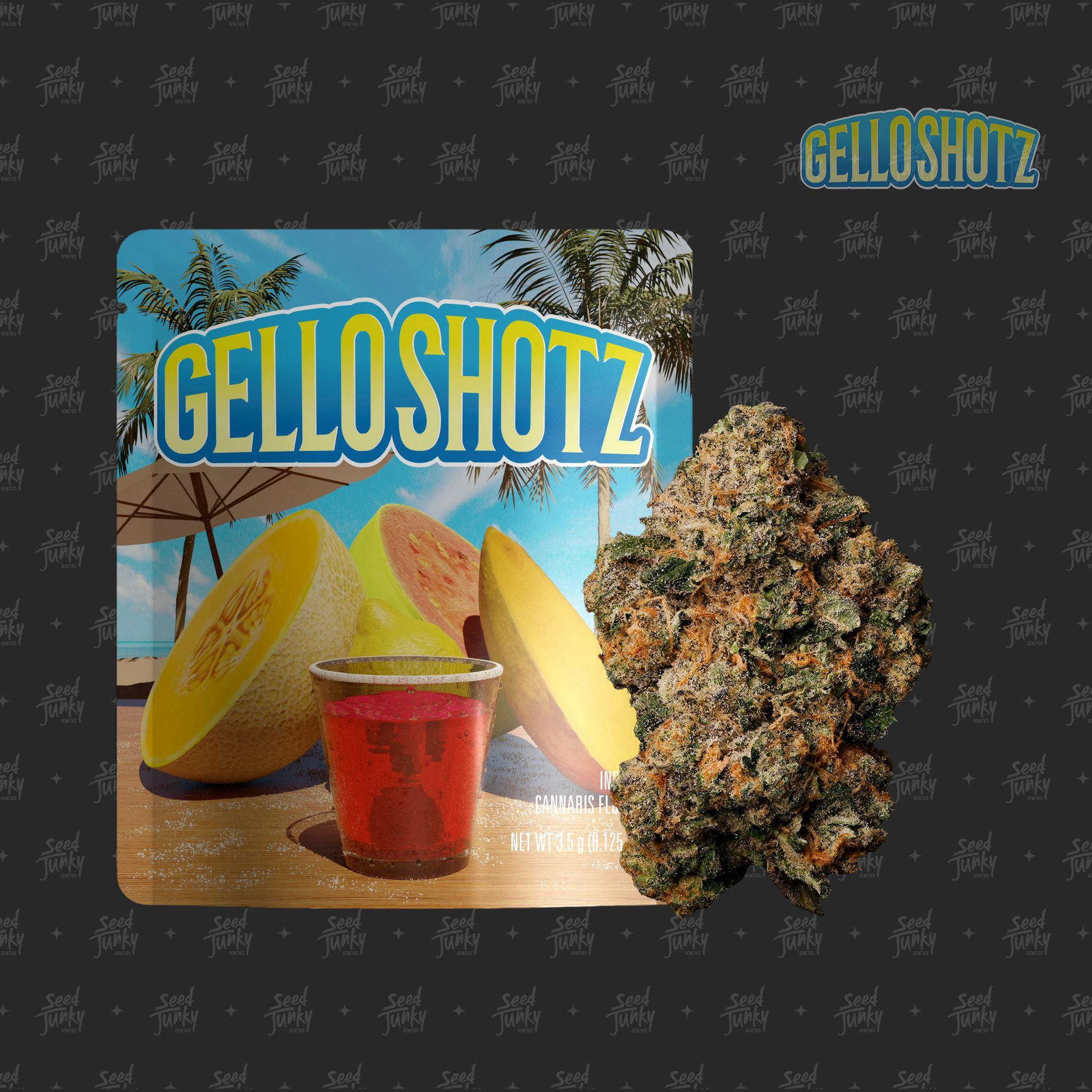 Gello Shotz | Seed Junky Genetics