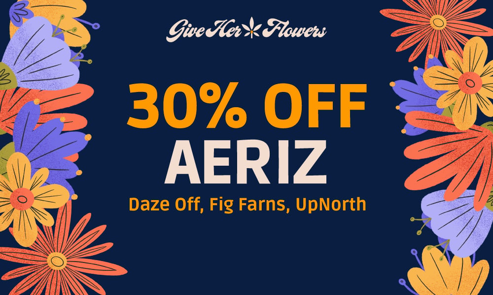 GET-ALL-AERIZ-BRANDS-AT-30%-OFF