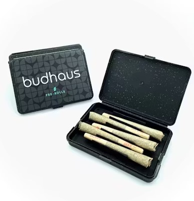 5x0.5g - GMO Cookies