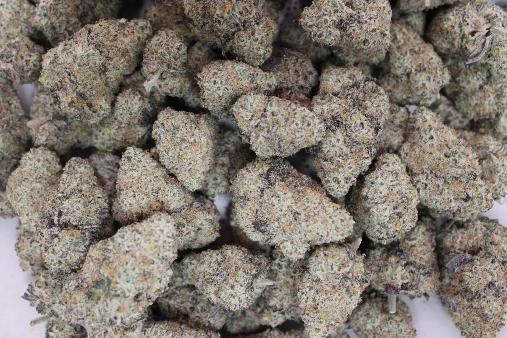 605 Cannabis - Sugar Baby - Bulk Flower - Indica Dominant