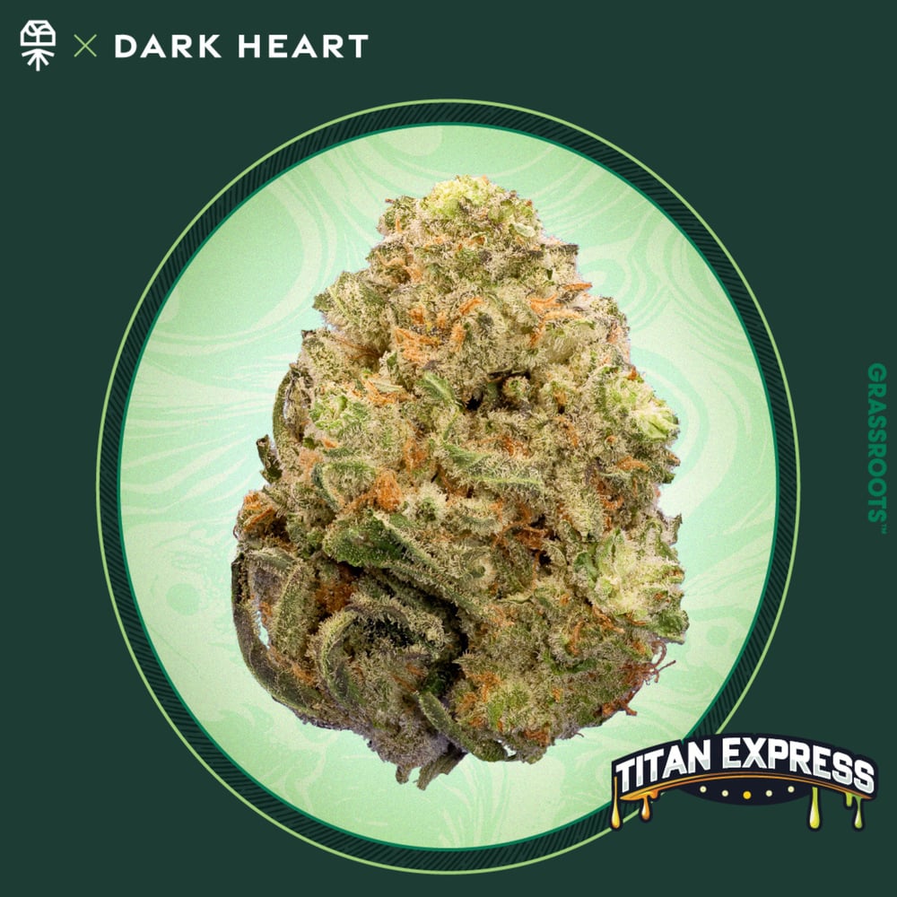 Titan Express | Quarters |7g| - REC - 7g - Packed
