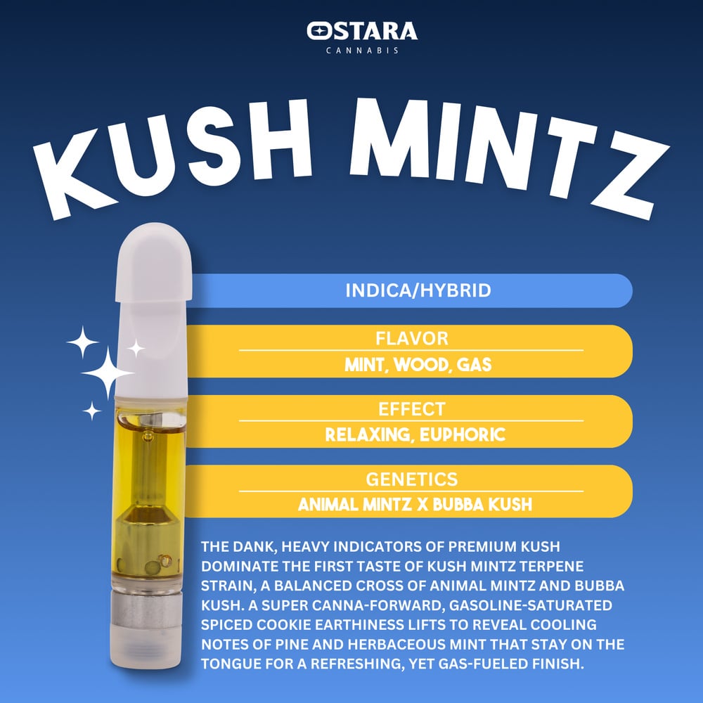 Kush Mintz