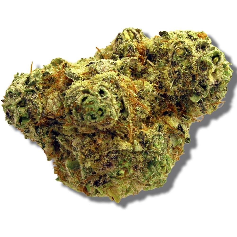 Berkshire Roots - Strawberry Lemonade Flower