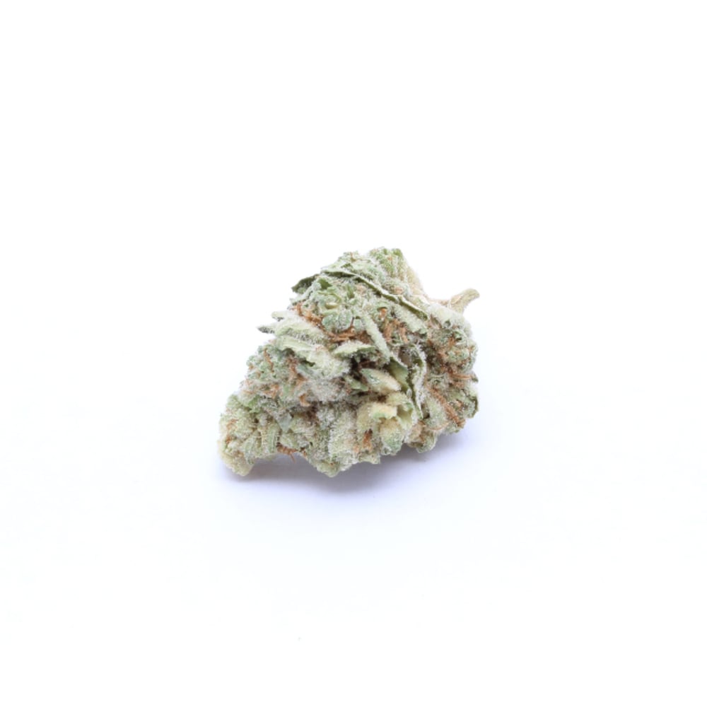 XJ-13
