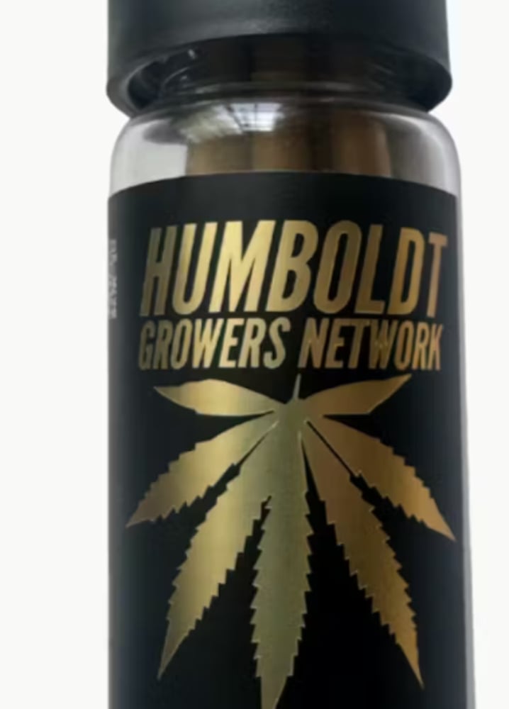 Lemon Cherry Gelato [5pk]