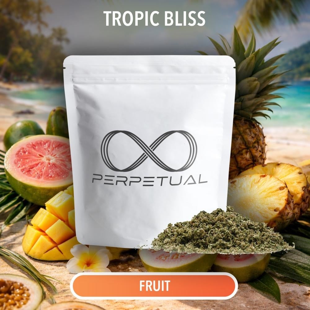 Perpetual - Tropic Bliss Infused Ready to Roll