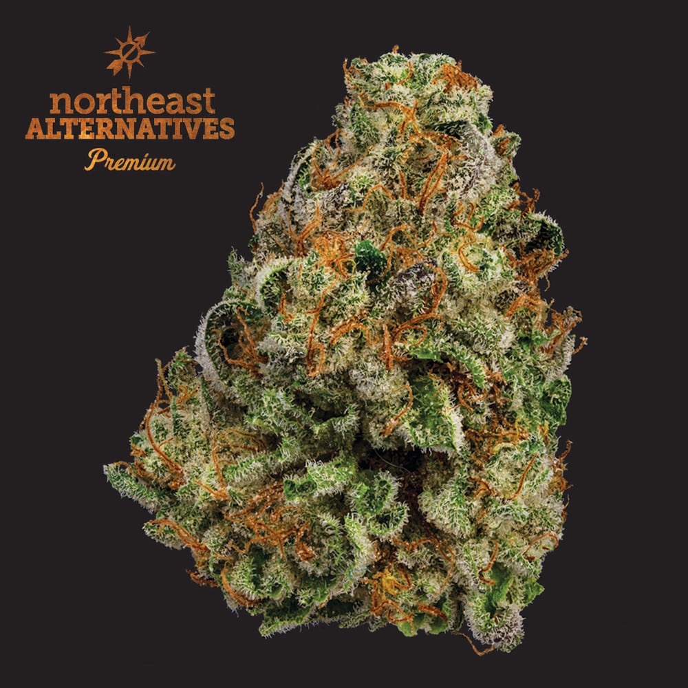 Gary Payton |3.5g| by COOKIES|