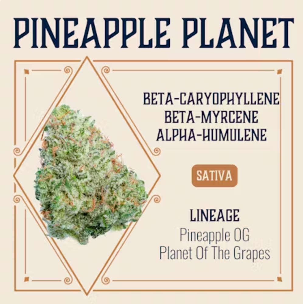 Pineapple Planet