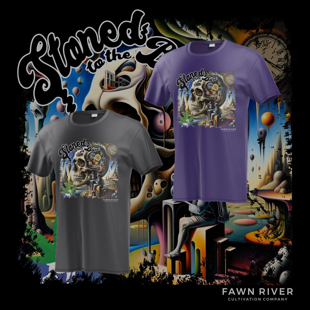 T-Shirt - Stoned To The Bone - Halloween - Amethyst [S]