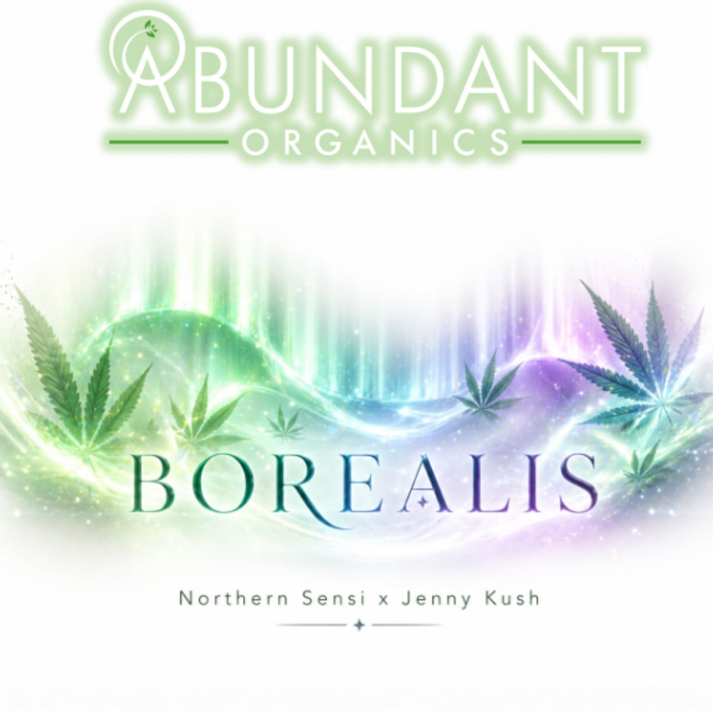 Borealis