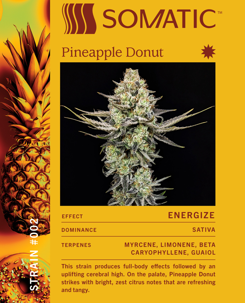 Pineapple Donut [56g]
