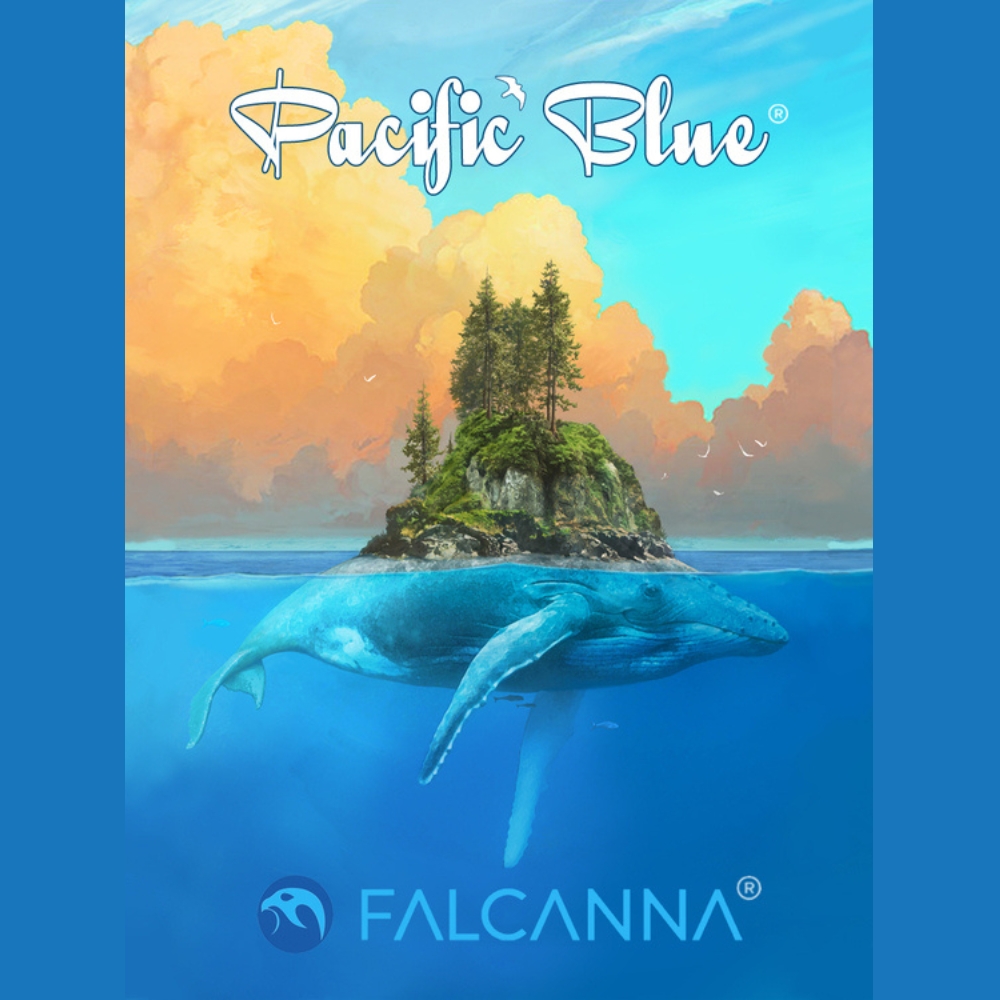 Pacific Blue (1G)