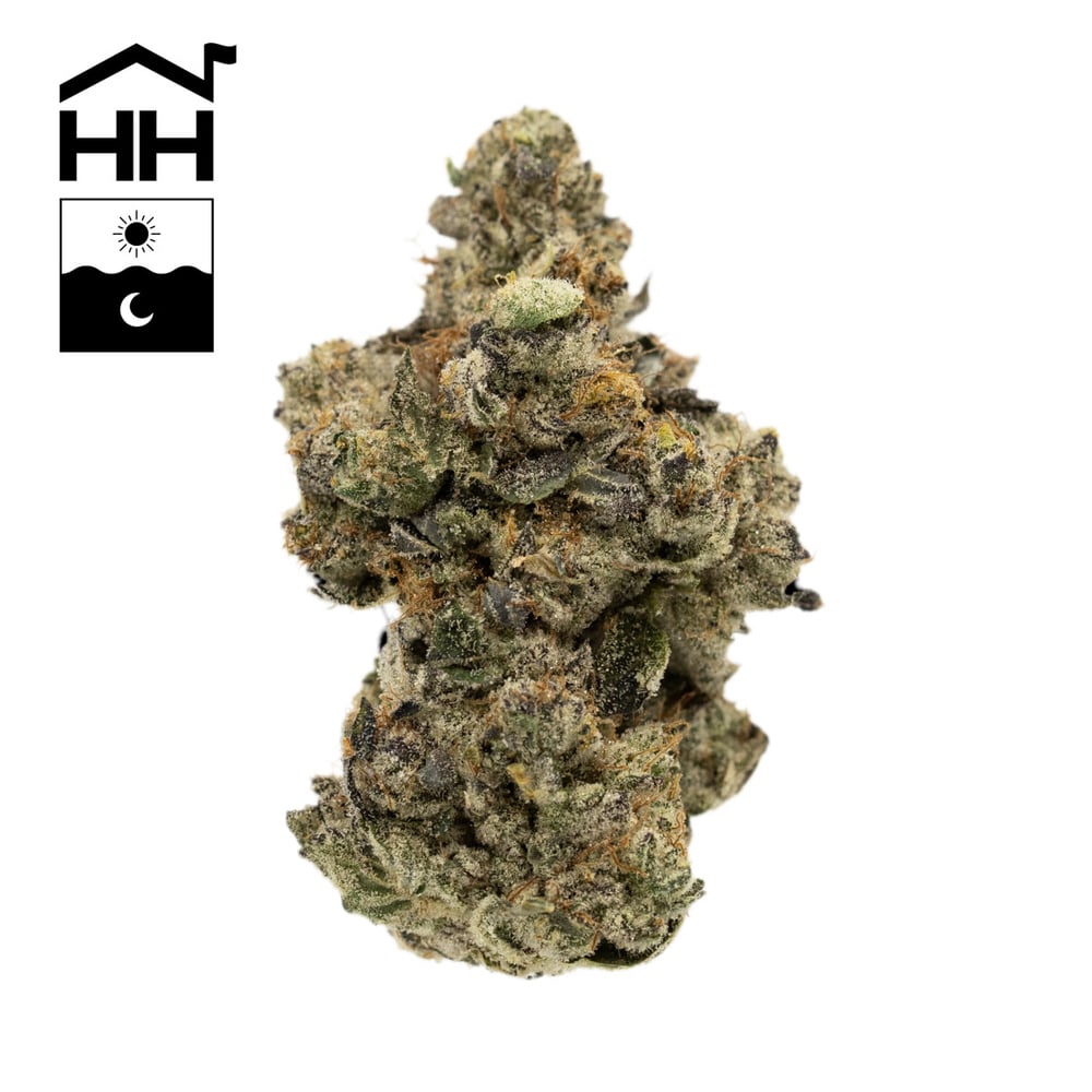 Harbor House Collective - Garlic Ice Cream Flower