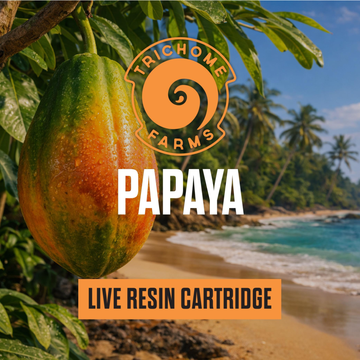 Papaya