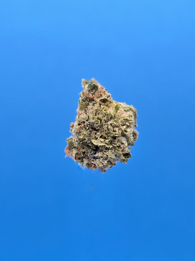 Humboldt Pound Cake