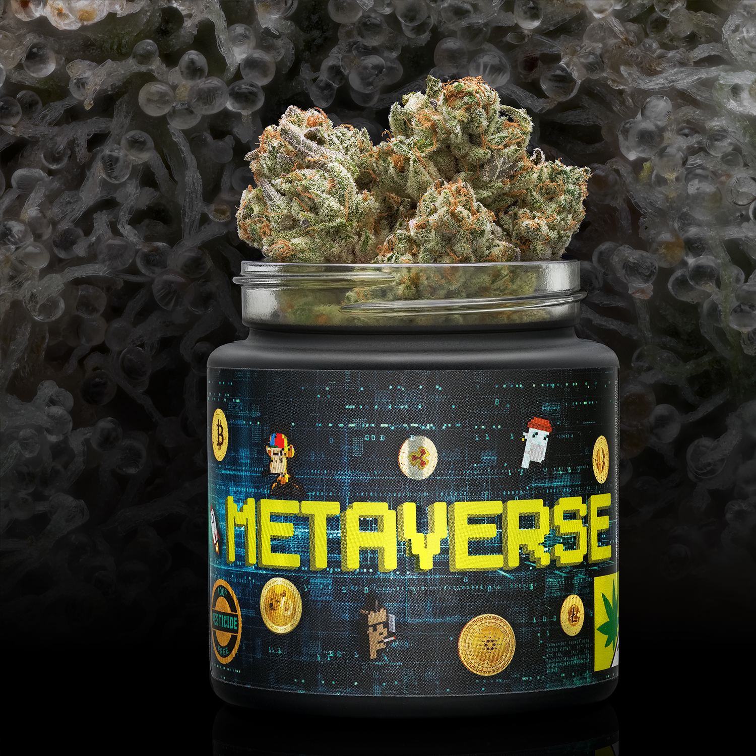 Metaverse