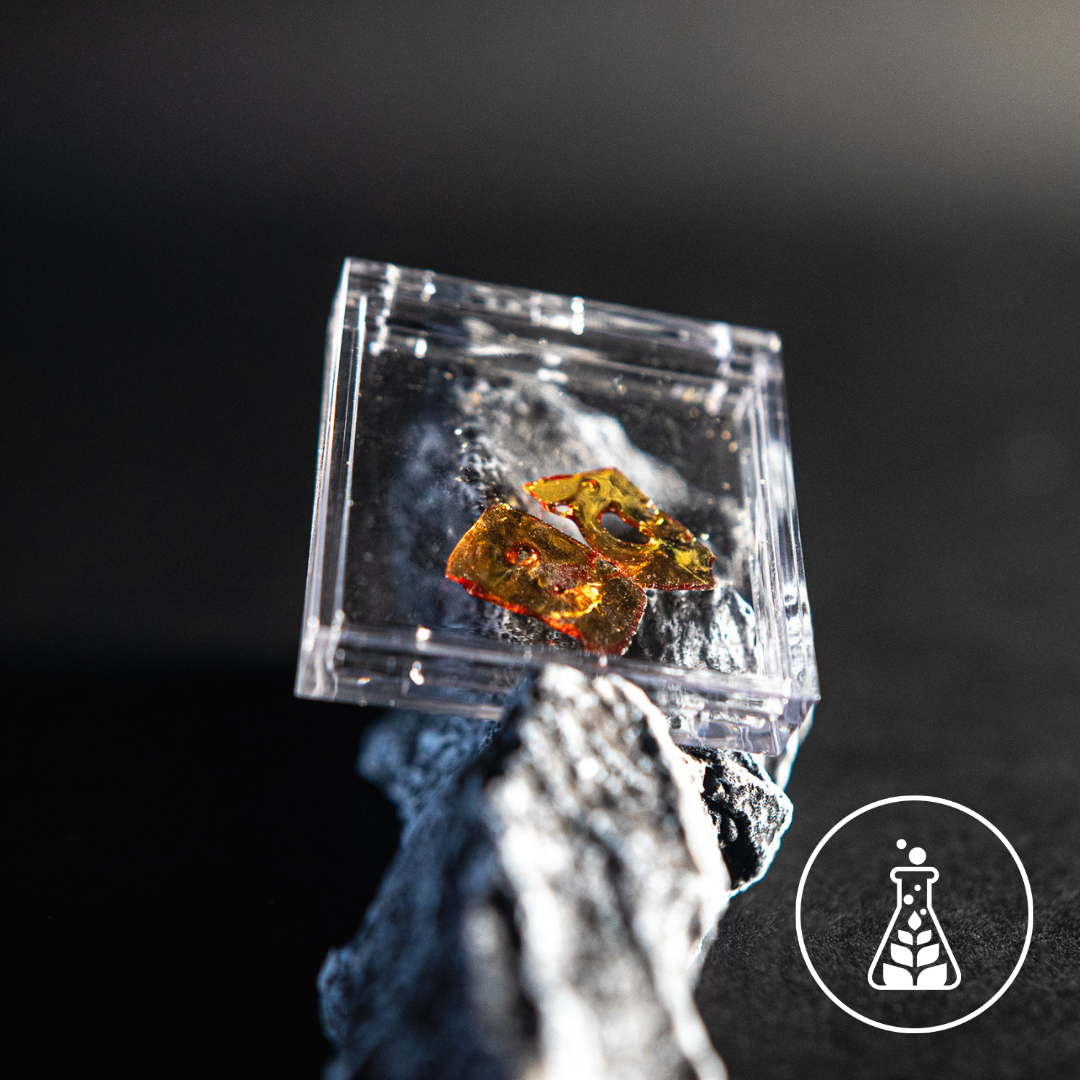 0.5g Shatter | Jealous Mike B.H.O. #1030