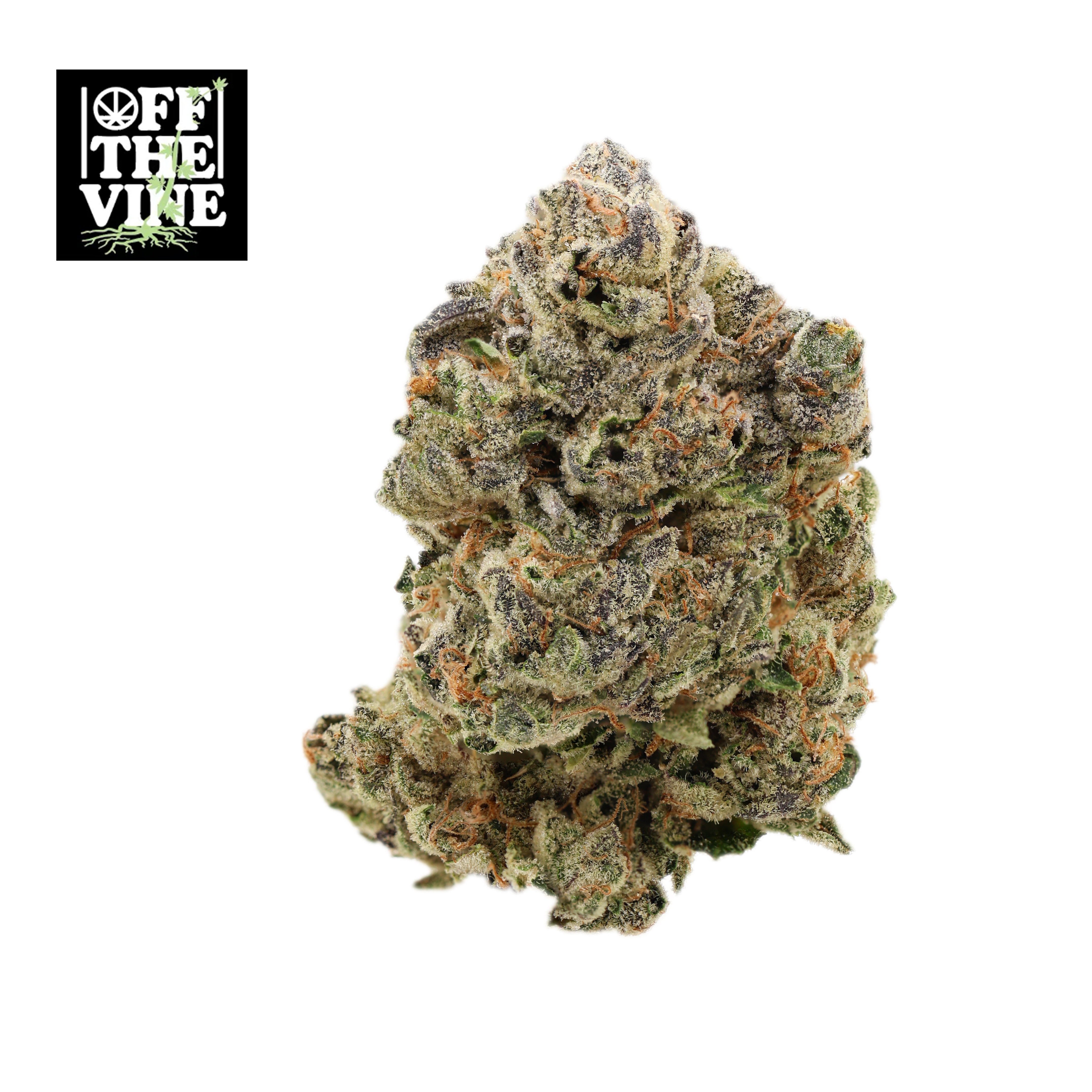 Guava x Vermont Diesel