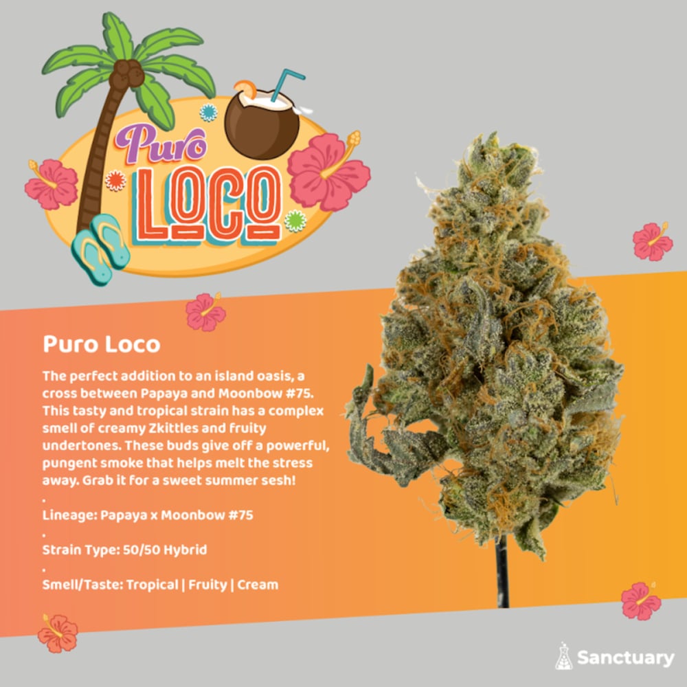 Sanctuary - Puro Loco Flower