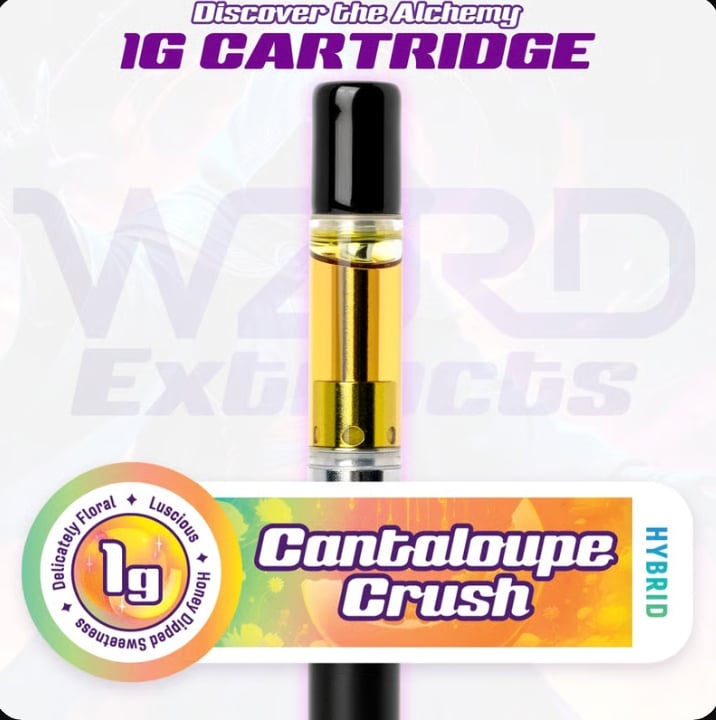 Cantaloupe Crush