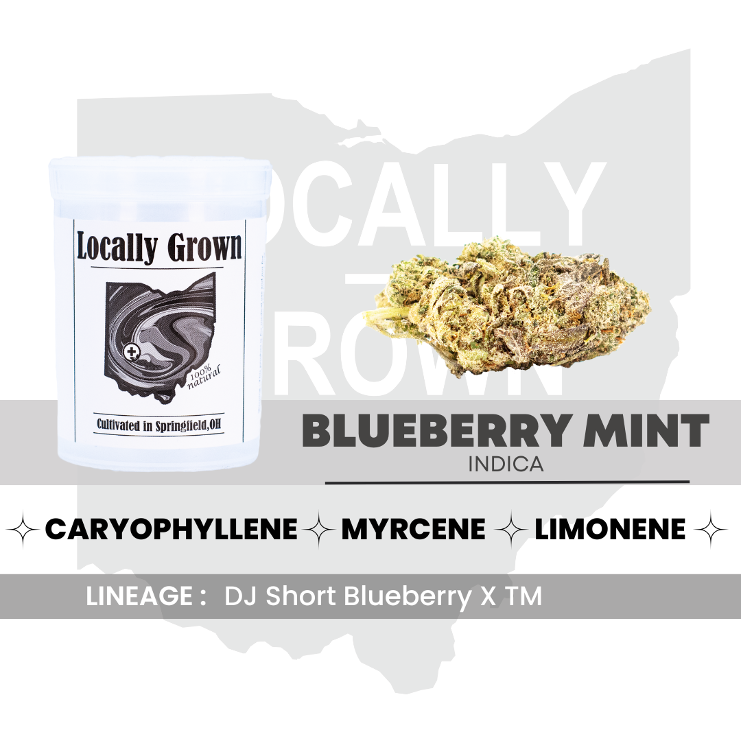 Shop Blueberry Mint [2.83g] | Pure Ohio Wellness - Dayton