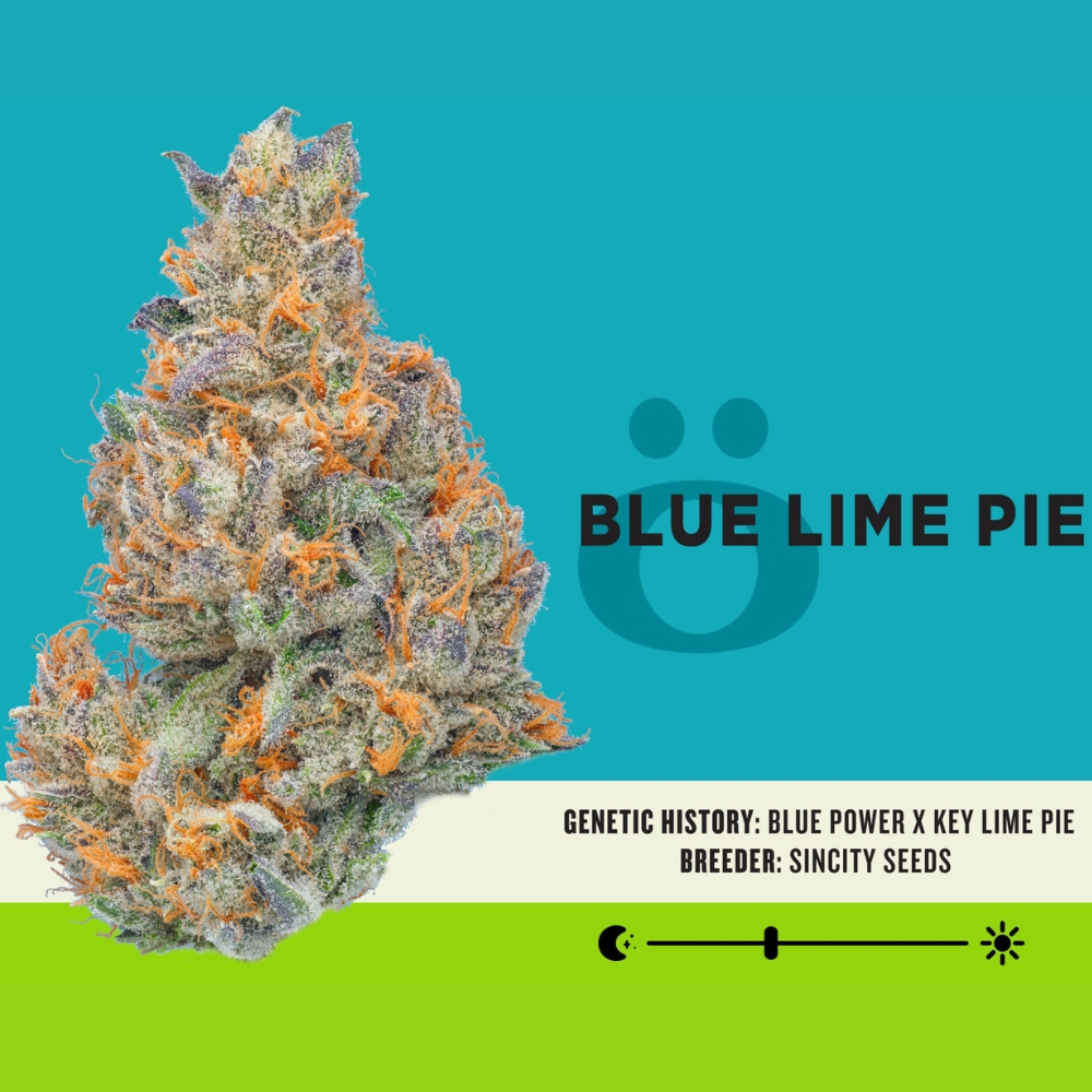 Blue Lime Pie